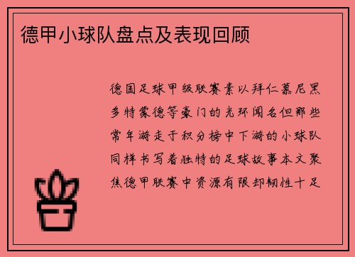 德甲小球队盘点及表现回顾